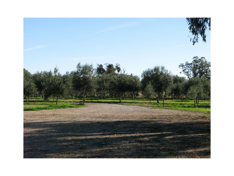 409 Botobolar Road, Mudgee NSW 2850