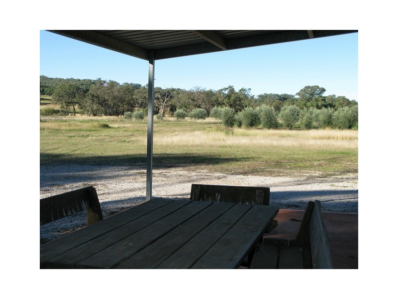 409 Botobolar Road, Mudgee NSW 2850