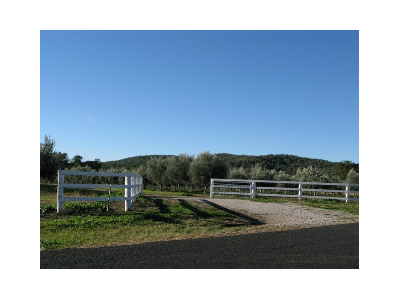 409 Botobolar Road, Mudgee NSW 2850