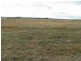 Gulgong NSW 2852