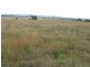Gulgong NSW 2852