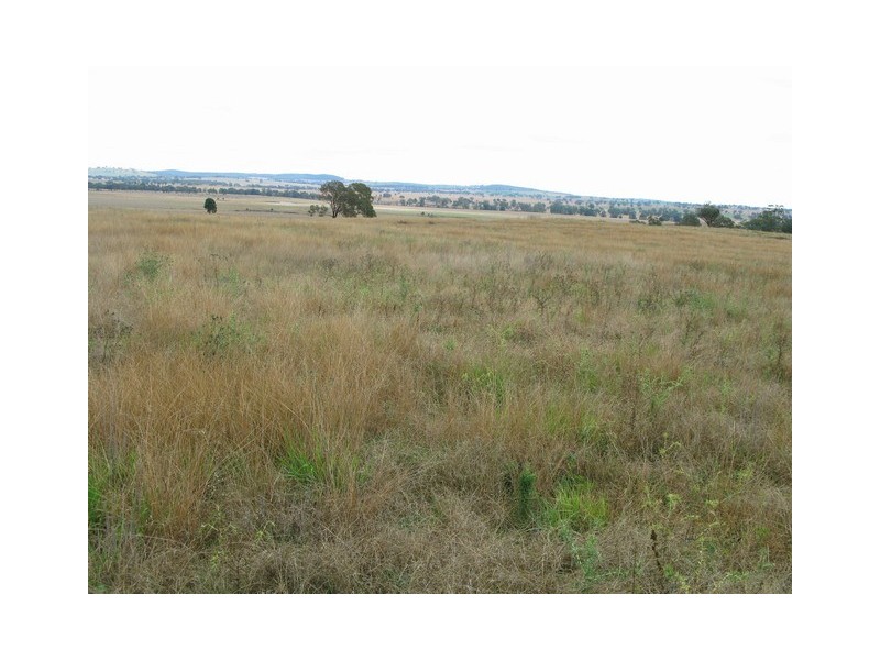Gulgong NSW 2852