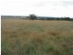 Gulgong NSW 2852