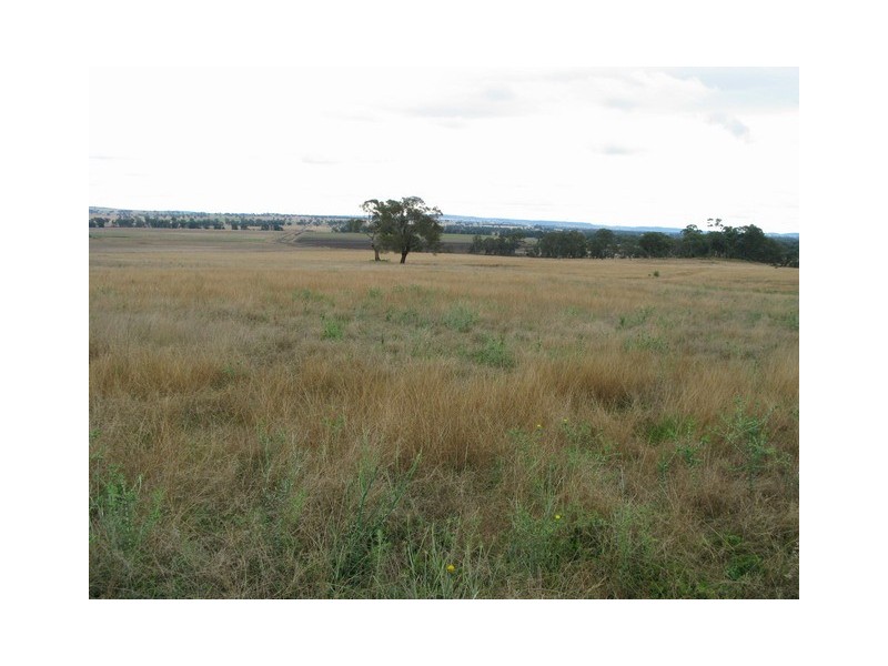 Gulgong NSW 2852