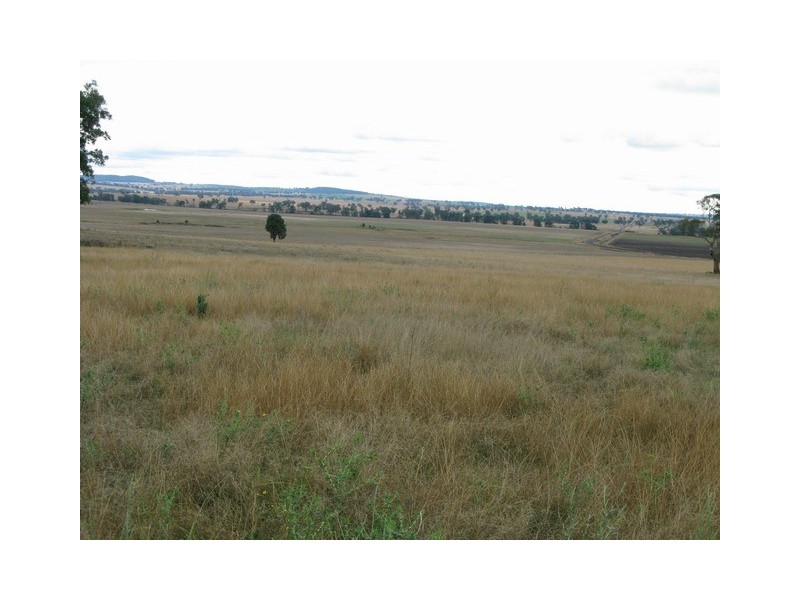 Gulgong NSW 2852