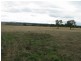 Gulgong NSW 2852