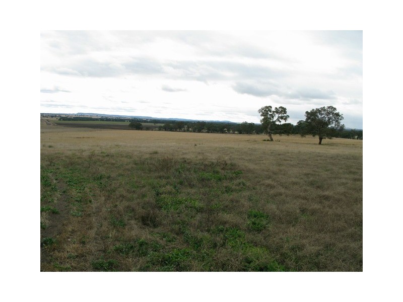Gulgong NSW 2852