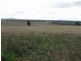 Gulgong NSW 2852
