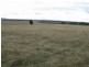 Gulgong NSW 2852
