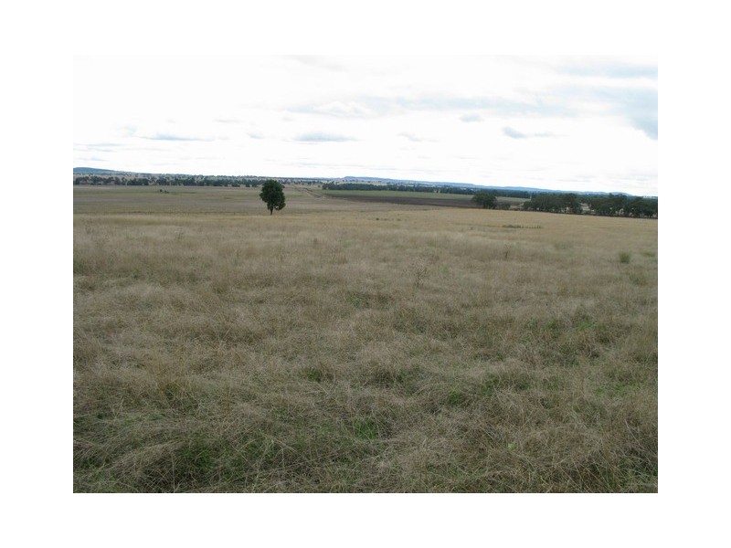 Gulgong NSW 2852