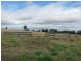 Gulgong NSW 2852