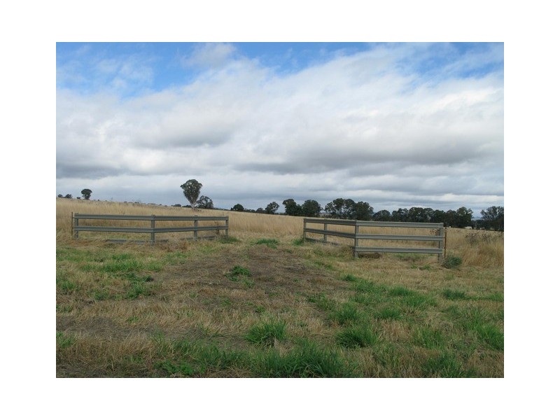 Gulgong NSW 2852