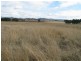 Gulgong NSW 2852