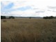 Gulgong NSW 2852