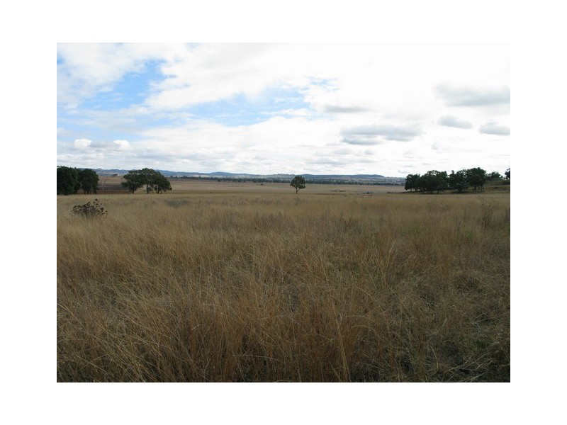 Gulgong NSW 2852