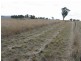 Gulgong NSW 2852