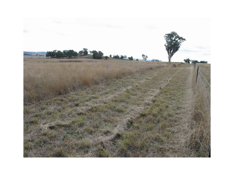 Gulgong NSW 2852