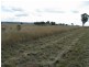 Gulgong NSW 2852