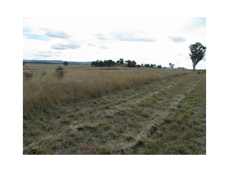 Gulgong NSW 2852