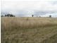 Gulgong NSW 2852