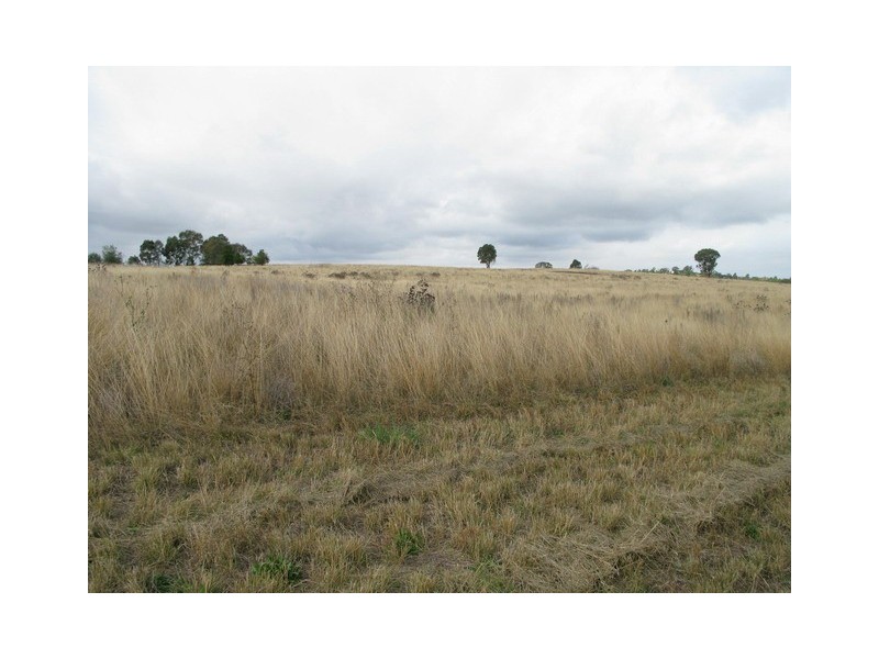 Gulgong NSW 2852