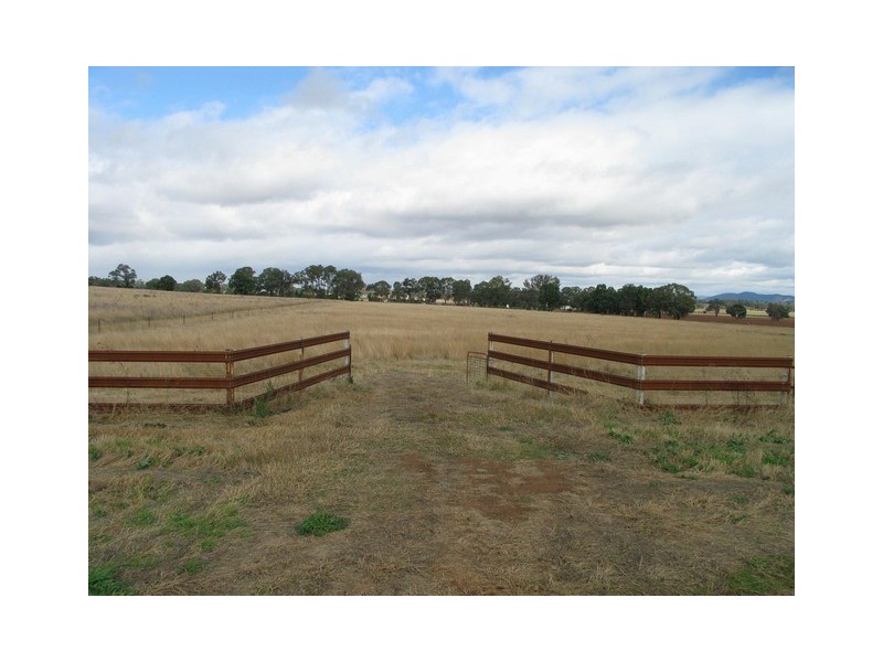 Gulgong NSW 2852