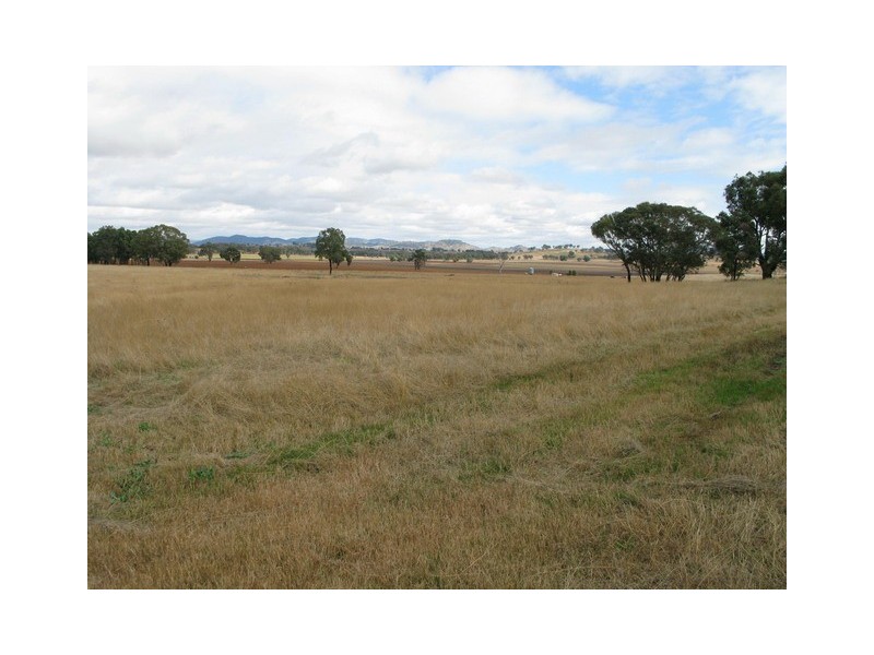 Gulgong NSW 2852