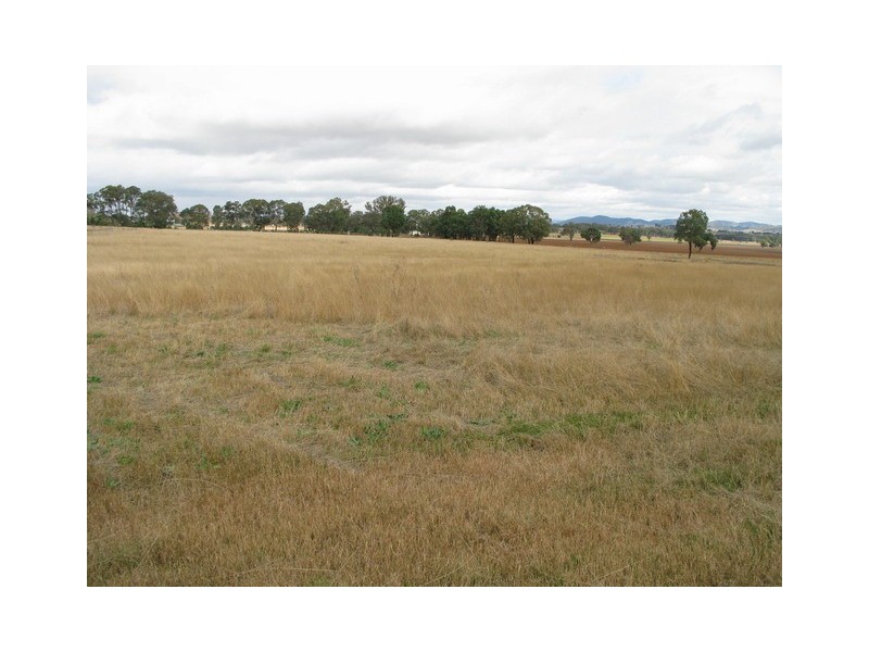 Gulgong NSW 2852