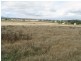 Gulgong NSW 2852