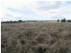 Gulgong NSW 2852