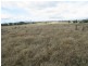 Gulgong NSW 2852
