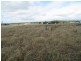 Gulgong NSW 2852