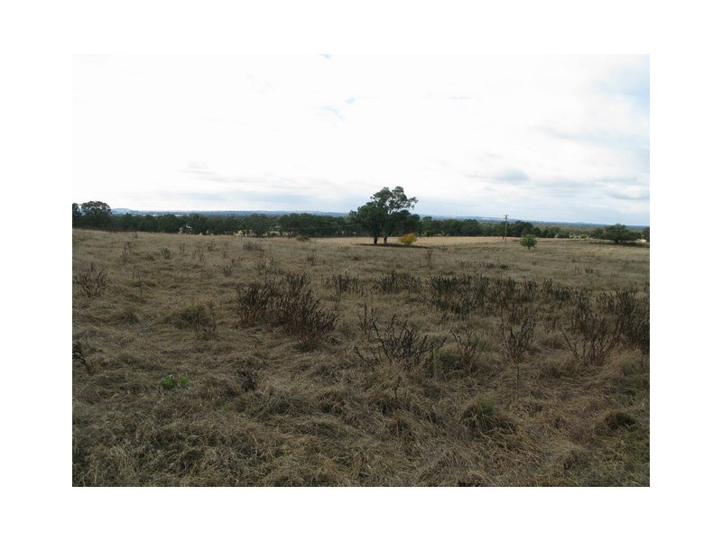 Gulgong NSW 2852