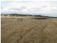 Gulgong NSW 2852