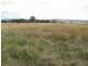 Mudgee NSW 2850