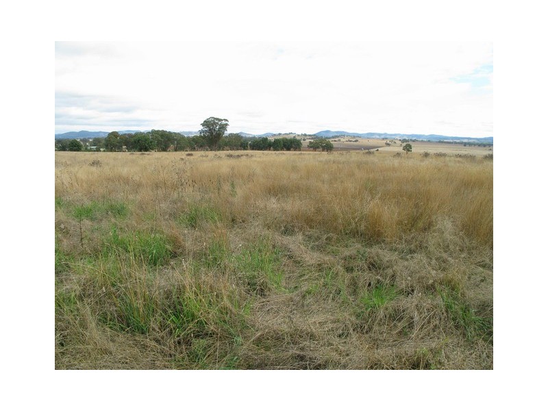 Mudgee NSW 2850