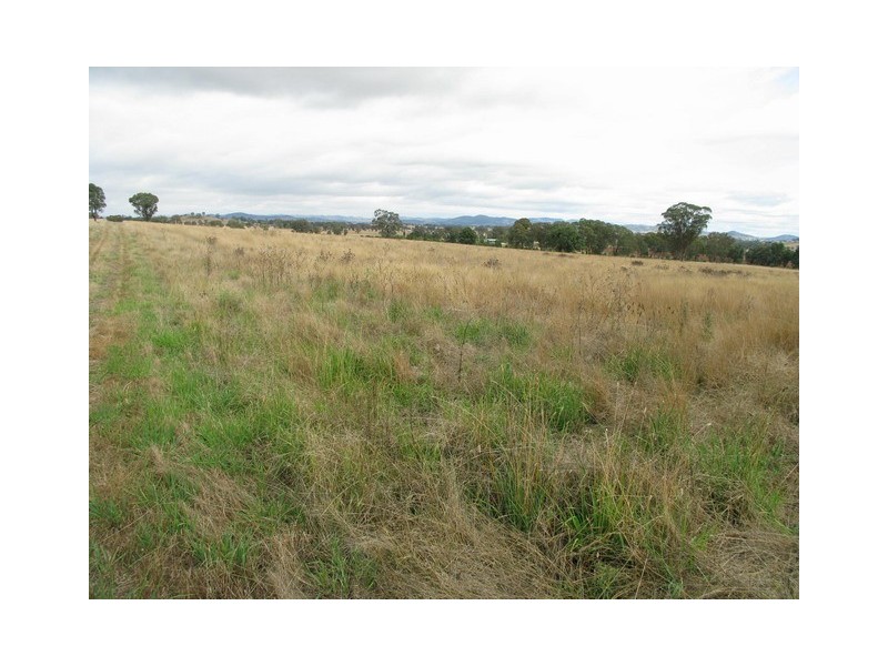 Mudgee NSW 2850
