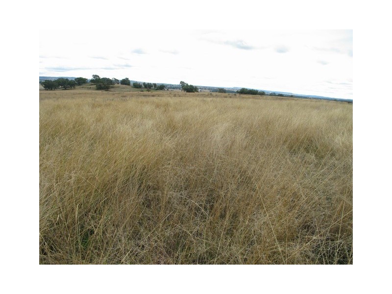 Mudgee NSW 2850