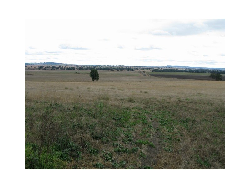 Mudgee NSW 2850