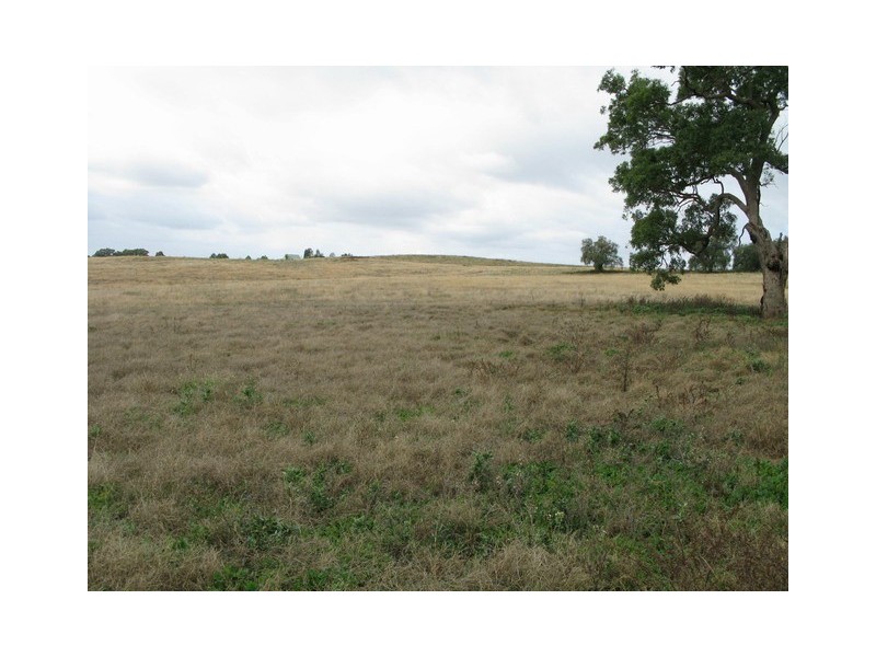 Mudgee NSW 2850