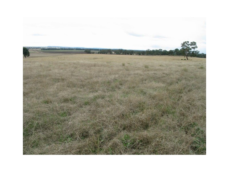 Mudgee NSW 2850