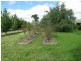 Mudgee NSW 2850
