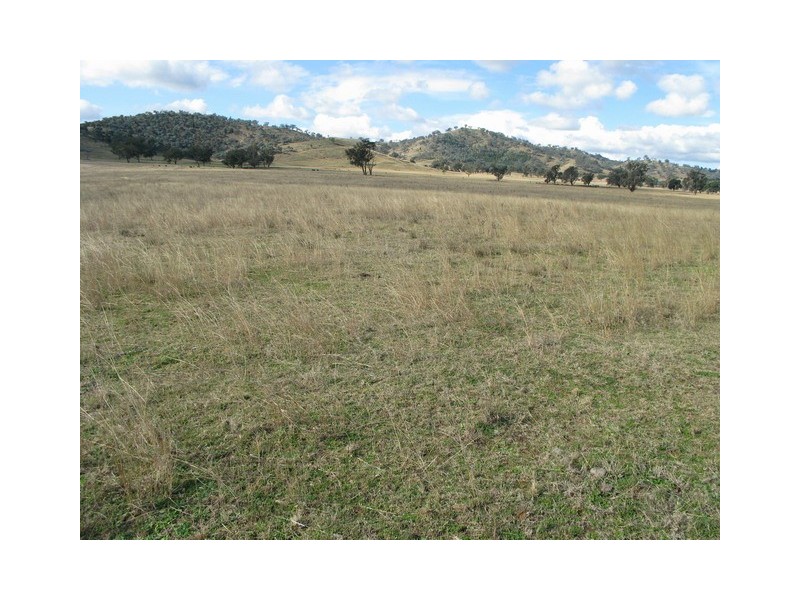 Lot 6 Twelve Mile Road, Mudgee NSW 2850