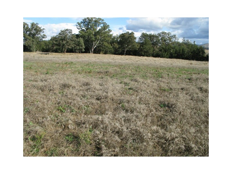 Lot 6 Twelve Mile Road, Mudgee NSW 2850
