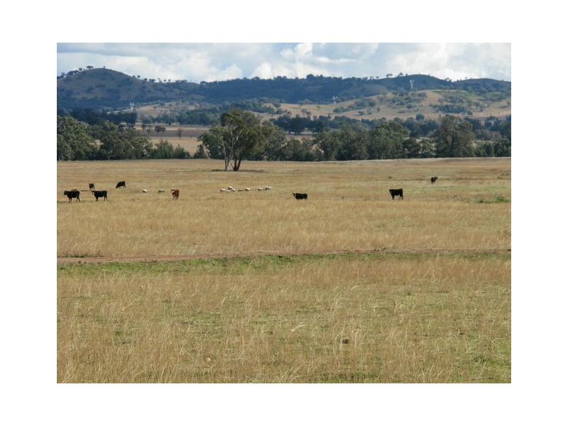 Lot 6 Twelve Mile Road, Mudgee NSW 2850