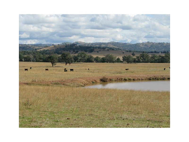 Lot 6 Twelve Mile Road, Mudgee NSW 2850