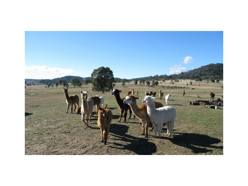 Mudgee NSW 2850