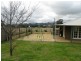 Mudgee NSW 2850