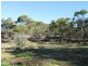Mudgee NSW 2850