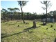 Mudgee NSW 2850